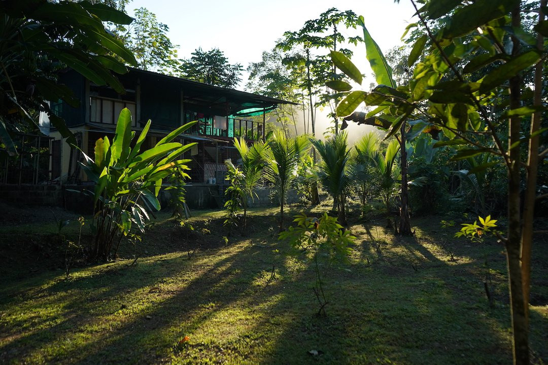 Utopia Tica Organic Farm & Hostel