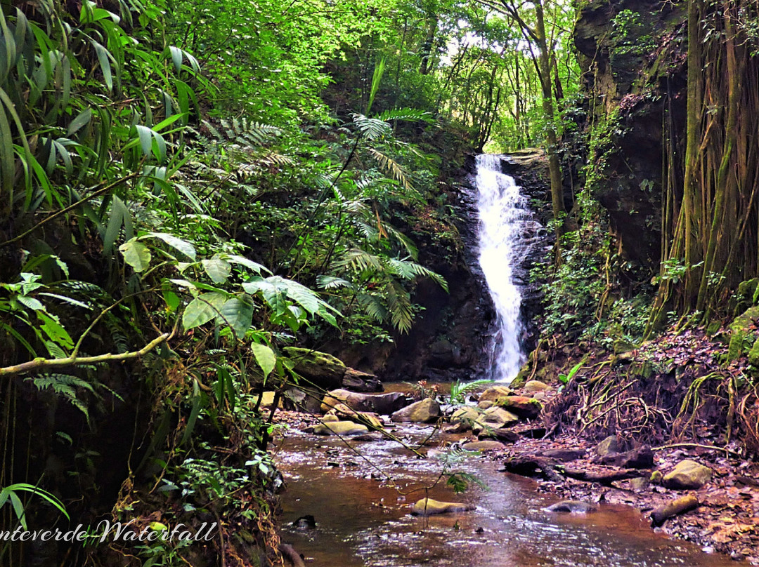 Catarata Los Murcielagos - Monteverde Waterfall景点图片