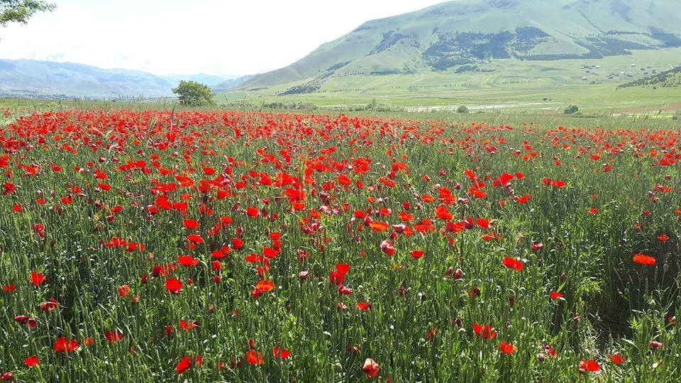 Arthur's-埃里温必去景点