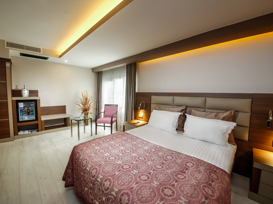 Elit Asya Hotel主图