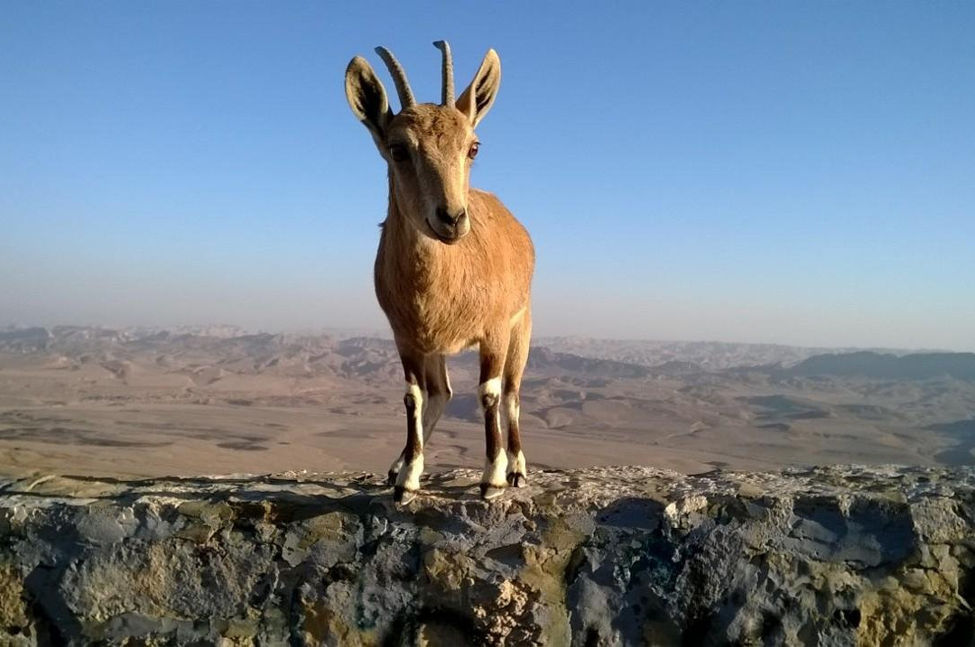 Ji- tours-耶路撒冷必去景点