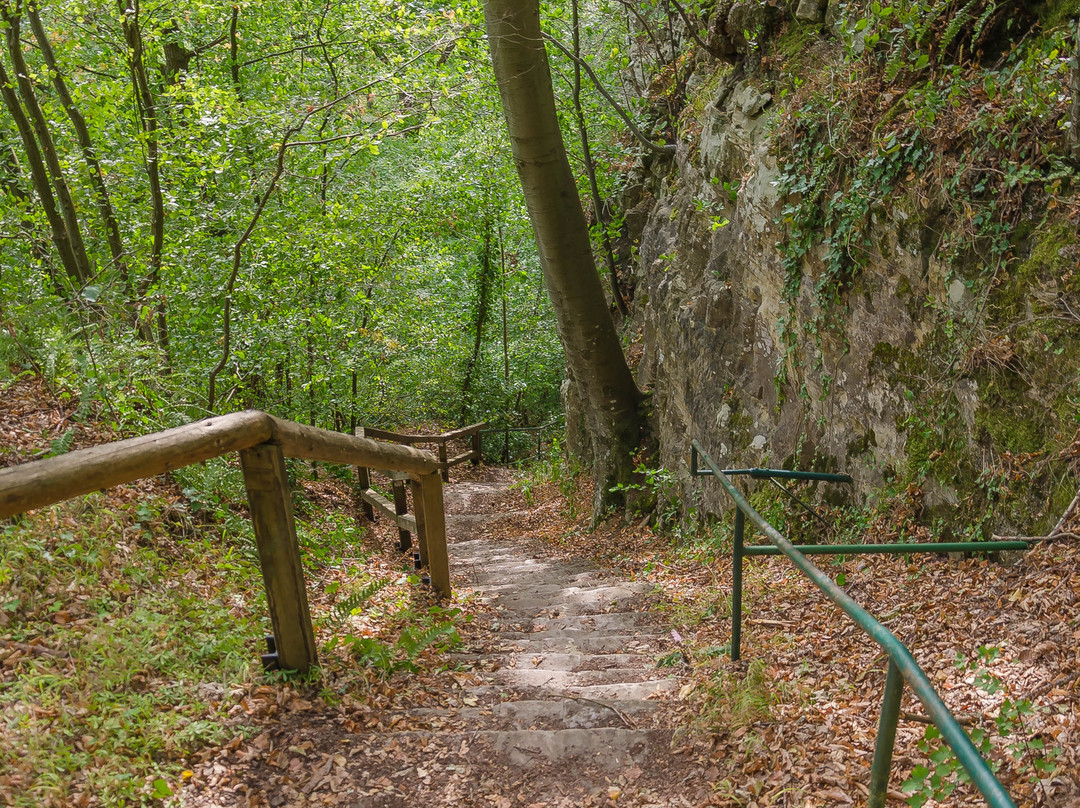 Felsenweg 1景点图片