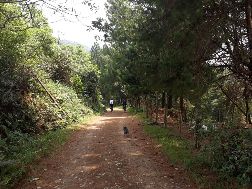 San Antonio de Prado旅游攻略图片