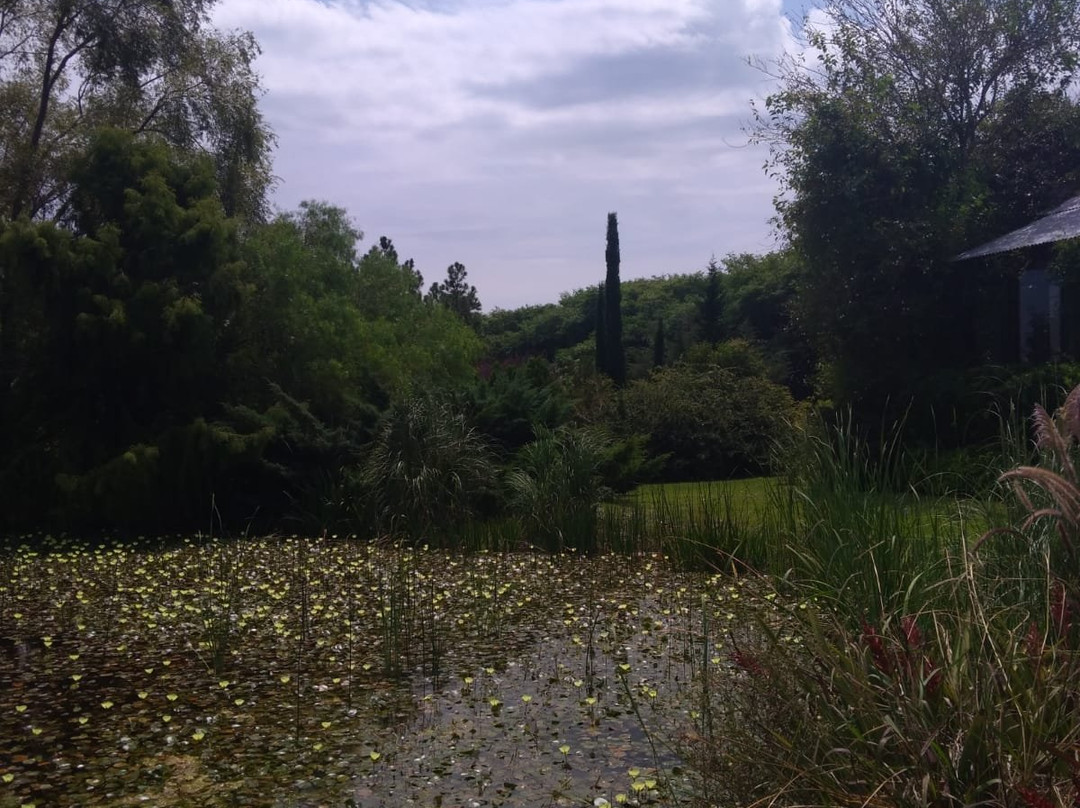 La Casa de los Limoneros主图