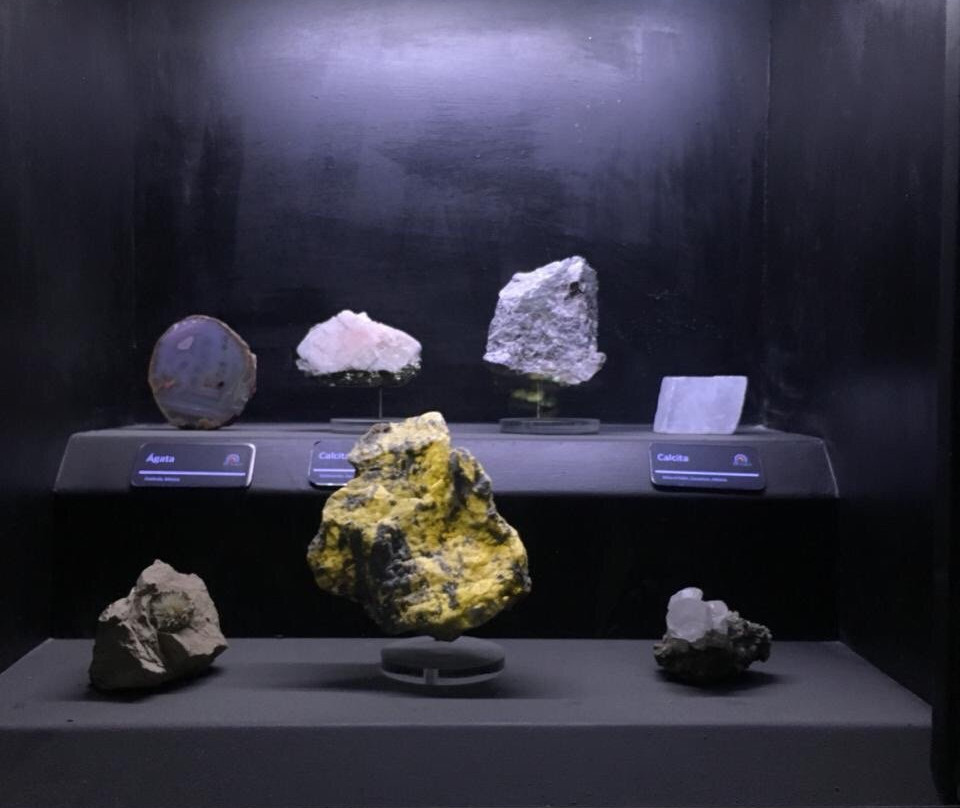 Museo De Minerales & Fosiles-萨卡特卡斯必去景点