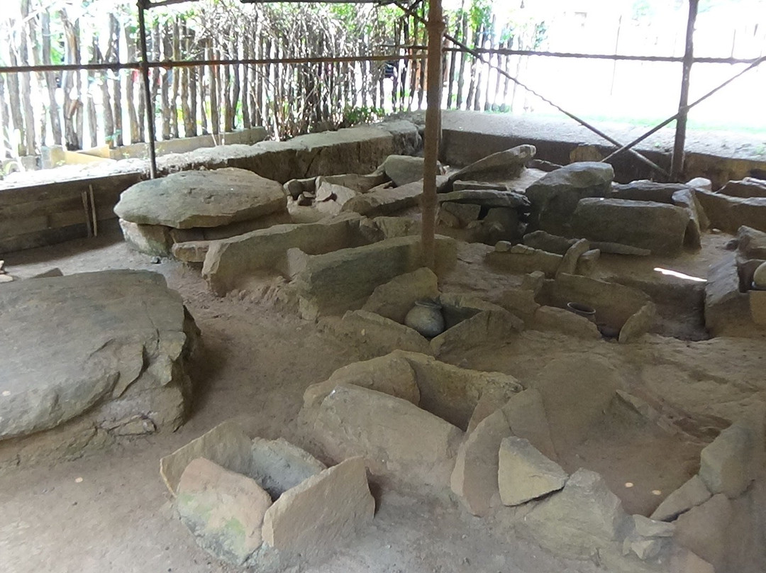 Ibbankatuwa Megalithic Tombs景点图片