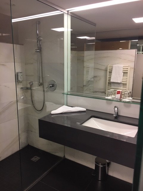 奥地利趋势酒店会议主图