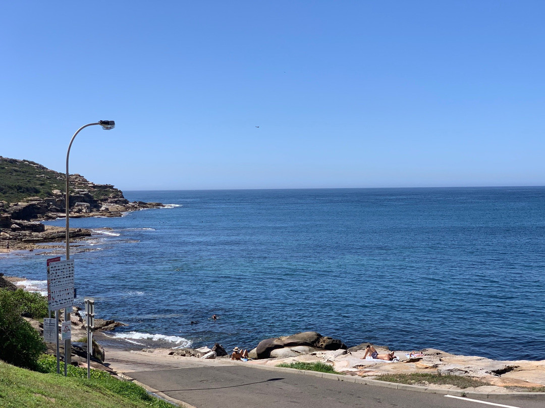 Sydney Dive Safari景点图片