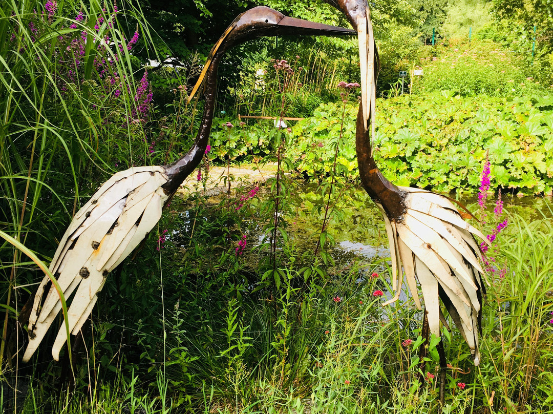 安妮夫旅游景点-Botanischer Garten Universität Salzburg