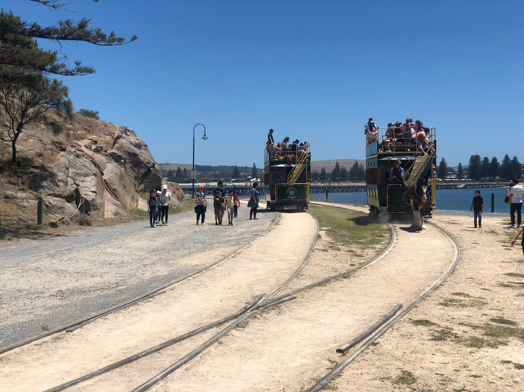 Victor Harbor Horse Drawn Tram景点图片