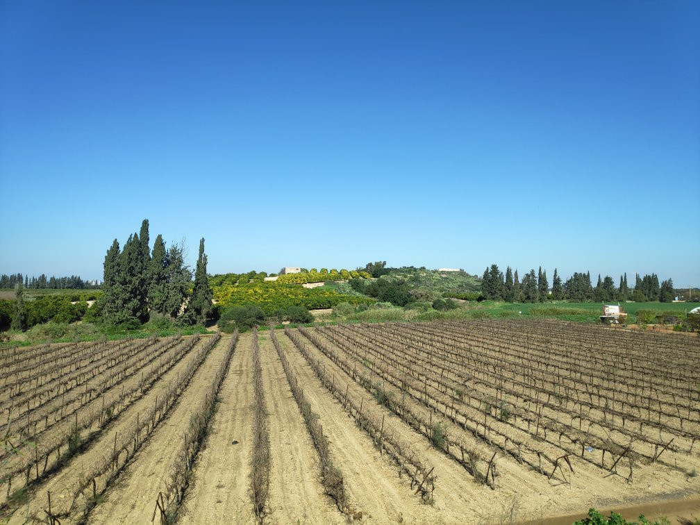 Farm on the Hill-Gedera必去景点
