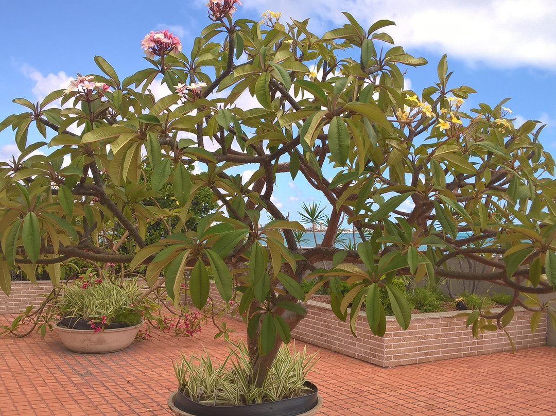 Verdegreen Hotel主图