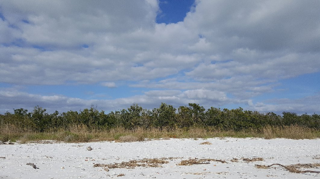 Marco Island Boat Tours-Goodland必去景点