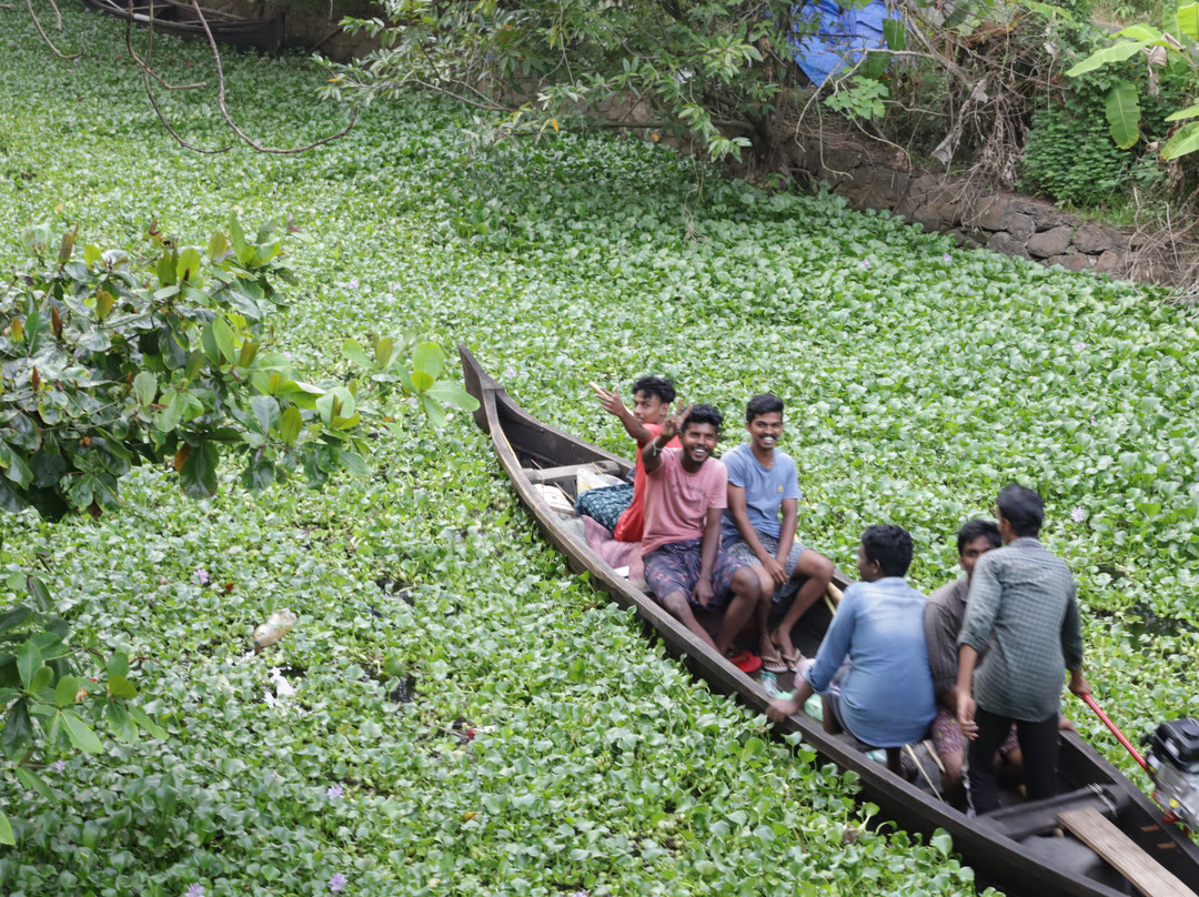 Lovedale Lakeside Homestay主图