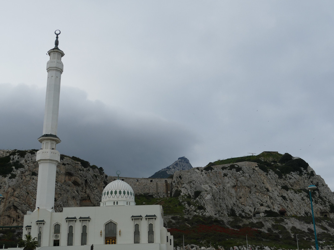 Ibrahim-al-Ibrahim Mosque-直布罗陀必去景点