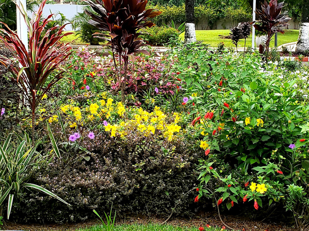 玛雅玛雅莱杰广场酒店主图