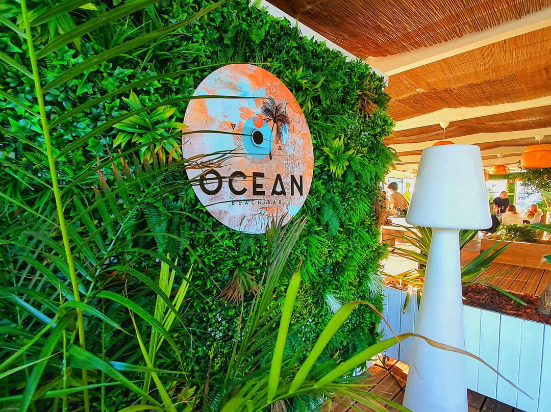 The Ocean