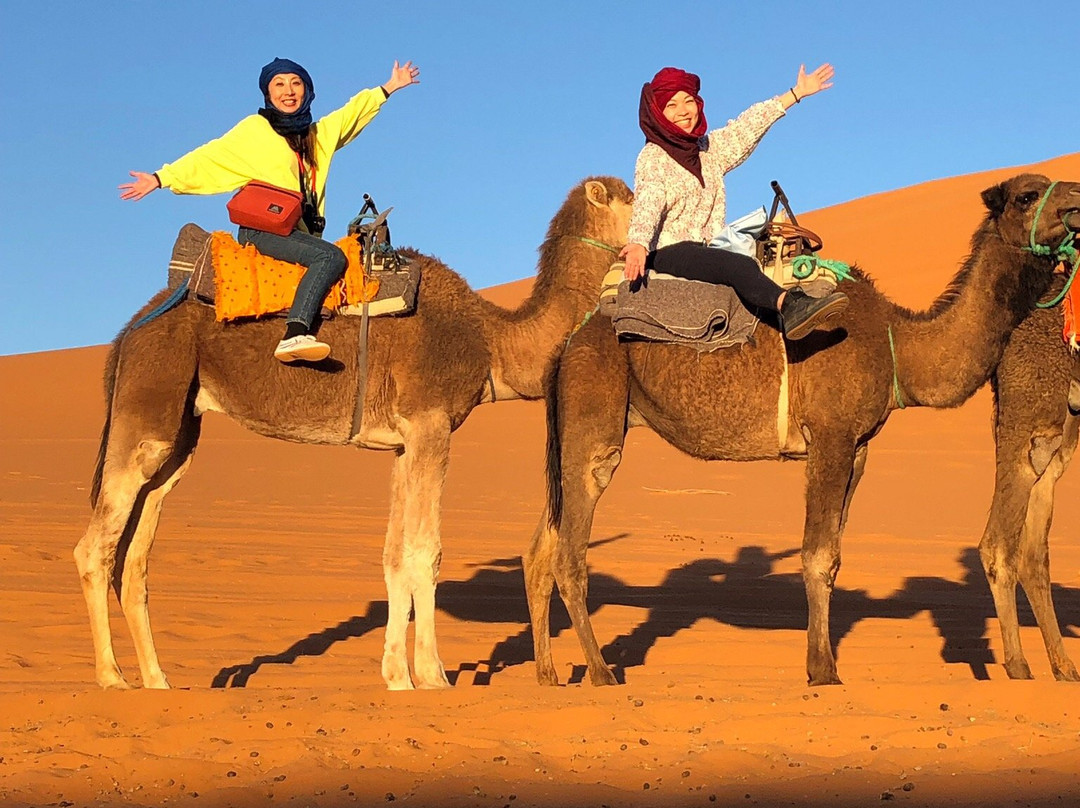Camel Ride Trips-非斯必去景点