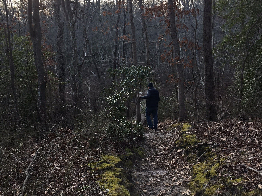 Allaire State Park景点图片
