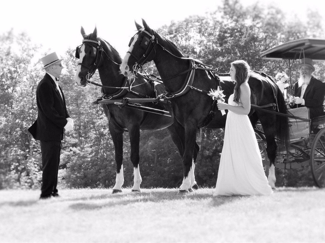 Silver Ranch Stables-Jaffrey必去景点