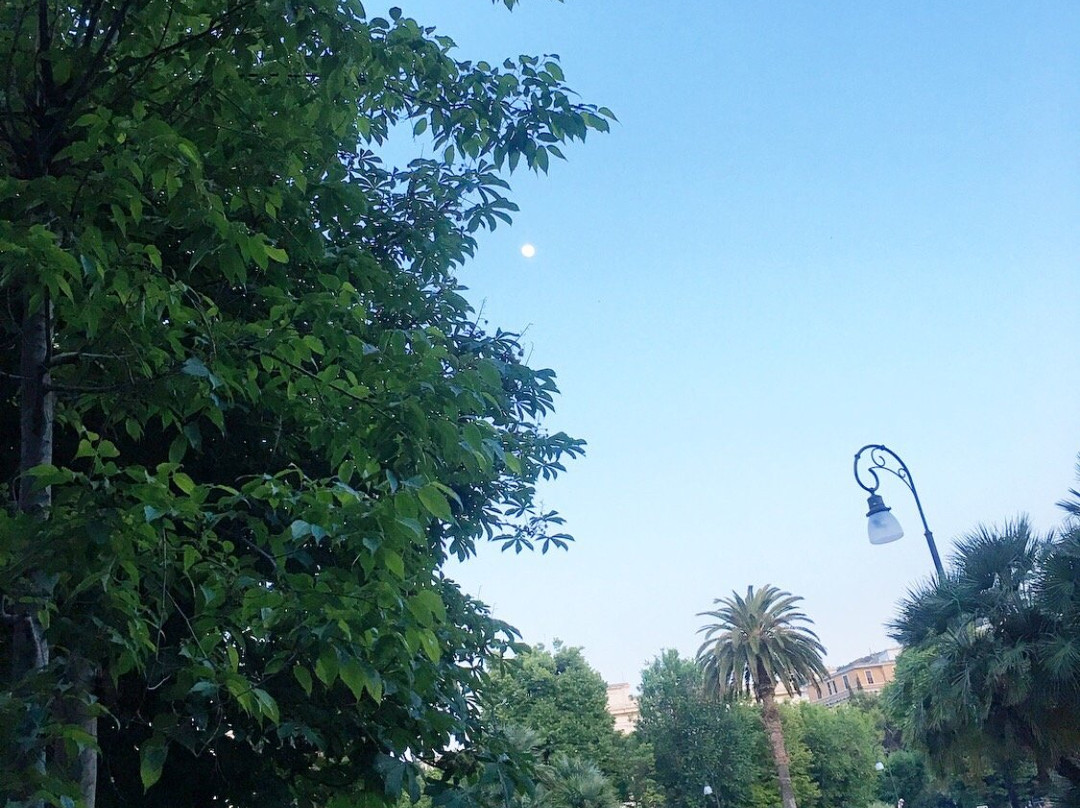 Piazza Cavour-安科纳必去景点