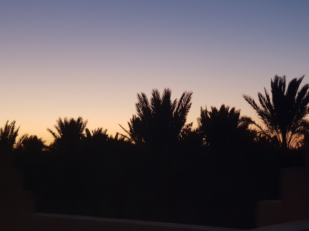 Les Jardins De Tafraout主图