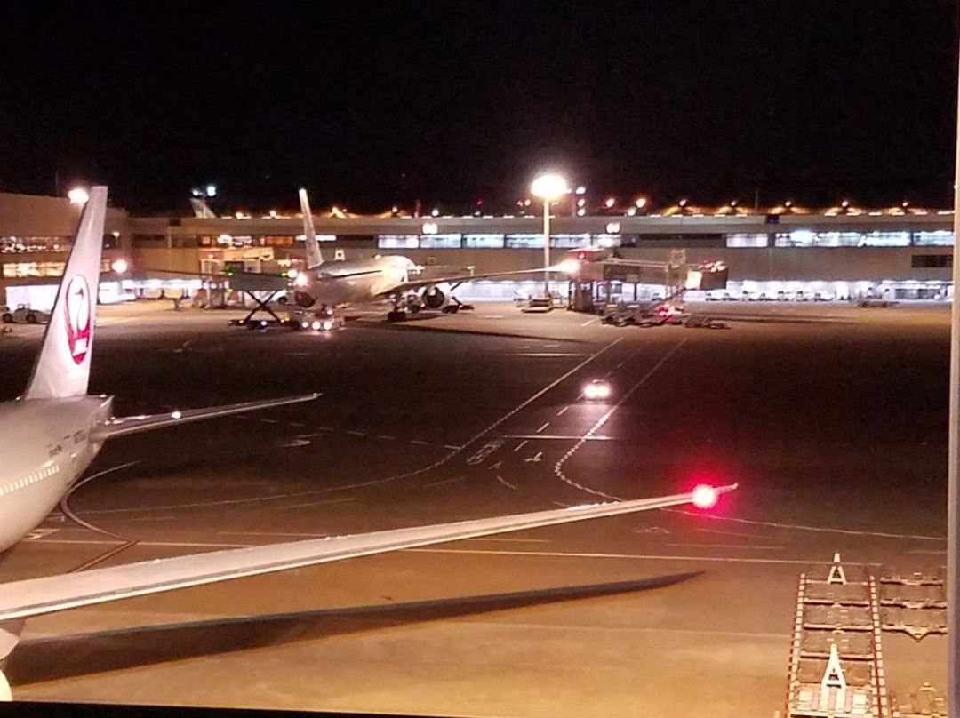 Observation Deck at Narita Airport Terminal 2景点图片