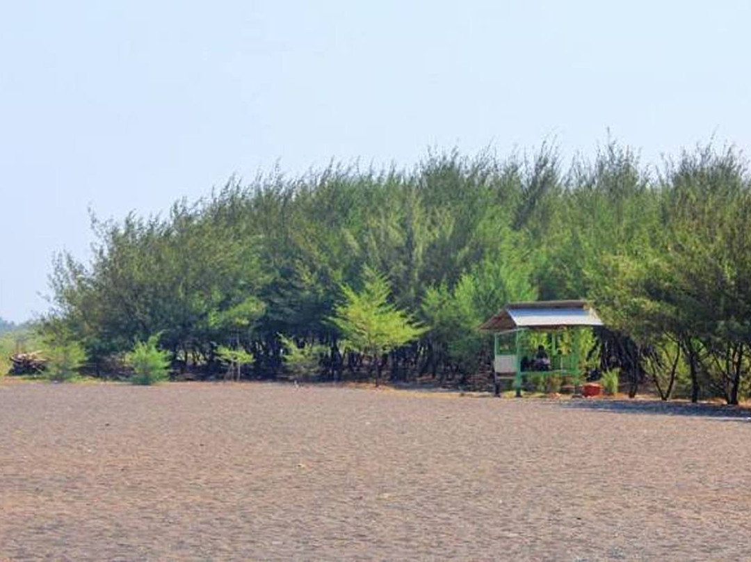 Cemara Beach-巴纽旺宣必去景点