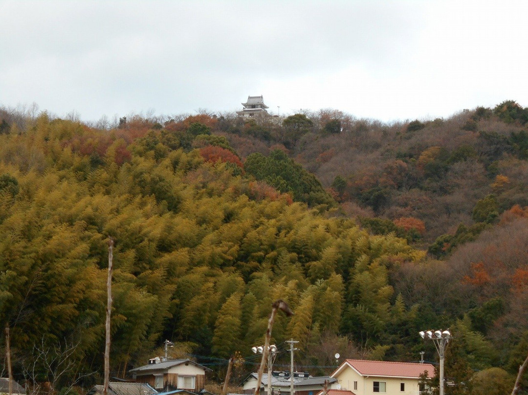 Umiyama Castle Lookout Park-今治市必去景点