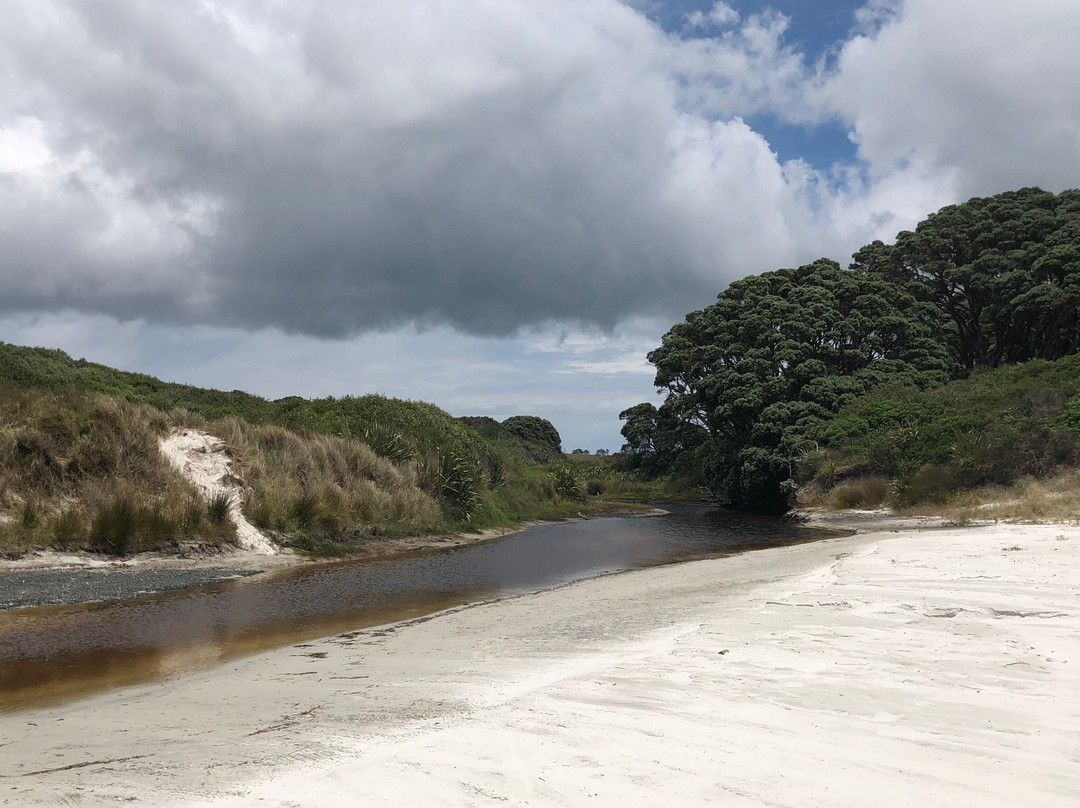Rarawa Beach景点图片