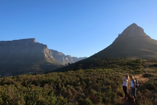 Cape Trekking-桌山国家公园必去景点
