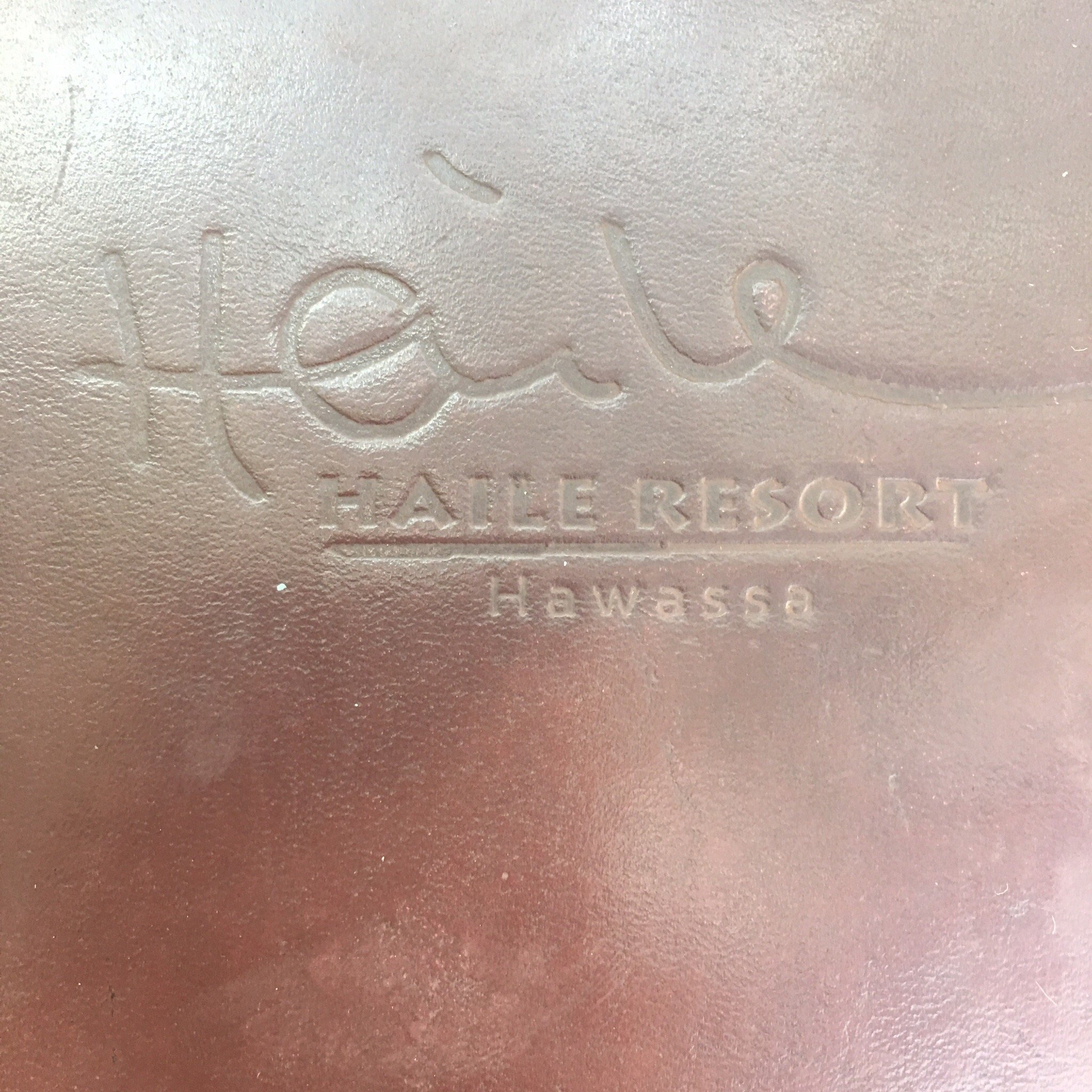 Haile Hotel, Shashemenne-官方