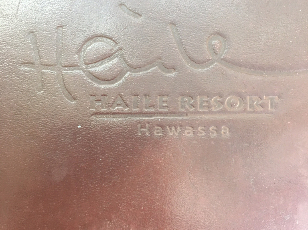 Haile Hotel, Shashemenne主图