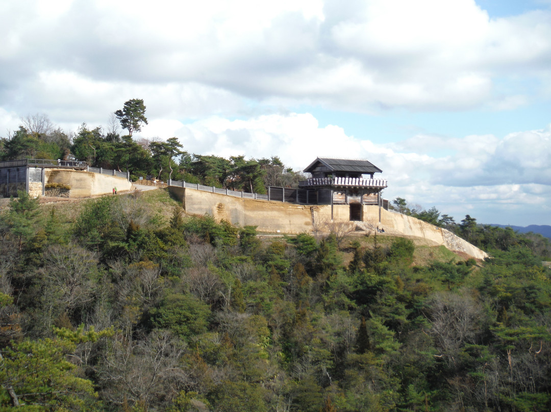 Kinojo Castle景点图片