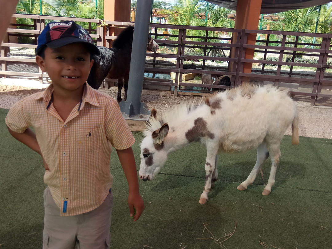 Parque Acuatico Baxal Ja-梅里达必去景点