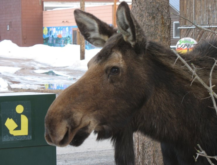 Juniper Library-格兰德湖必去景点