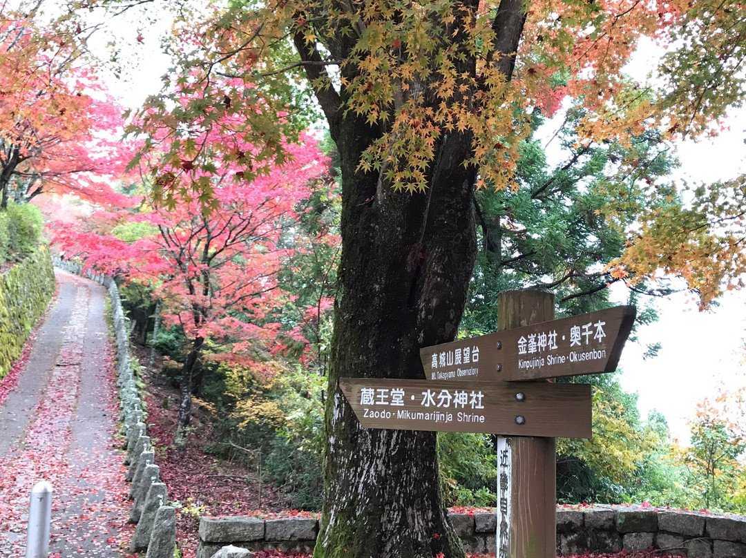 Mt. Takagi-吉野町必去景点