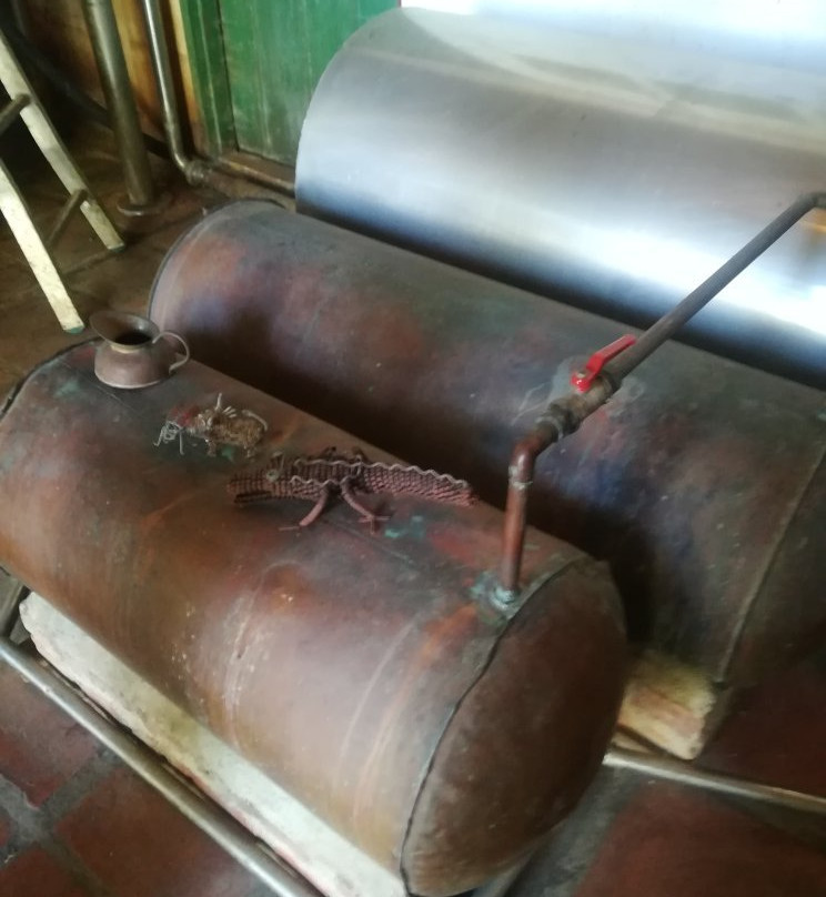 Upland Organic Wine-惠灵顿必去景点