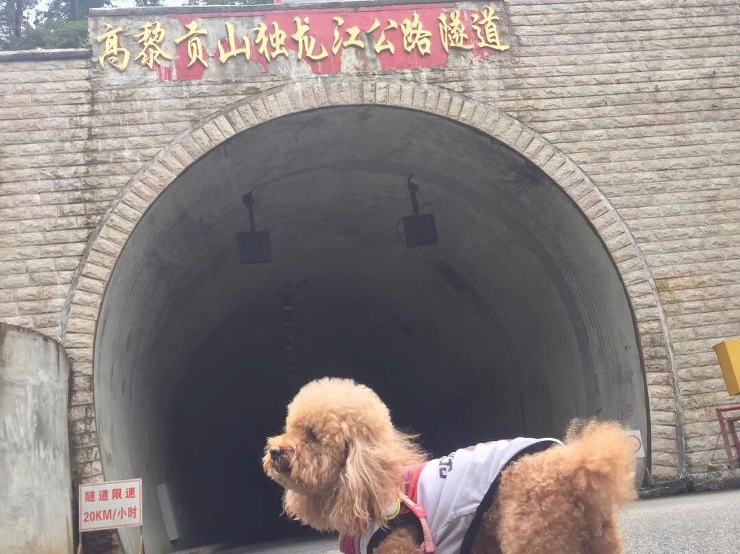 高黎贡山国家级自然保护区景点图片