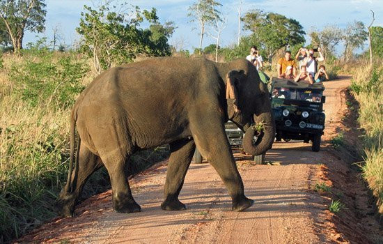 Classical Lanka Tours-Trincomalee必去景点
