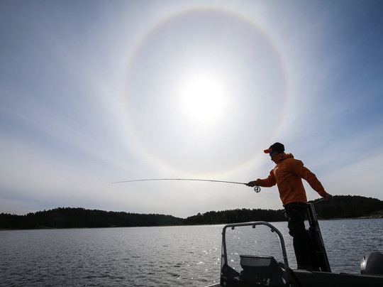 Wild Fish Sweden-Varekil必去景点