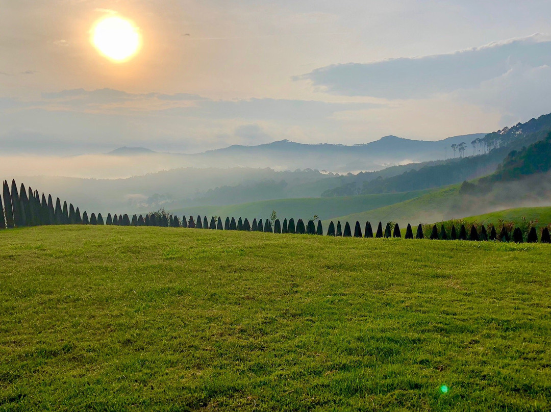 Gisovu Tea Estate景点图片