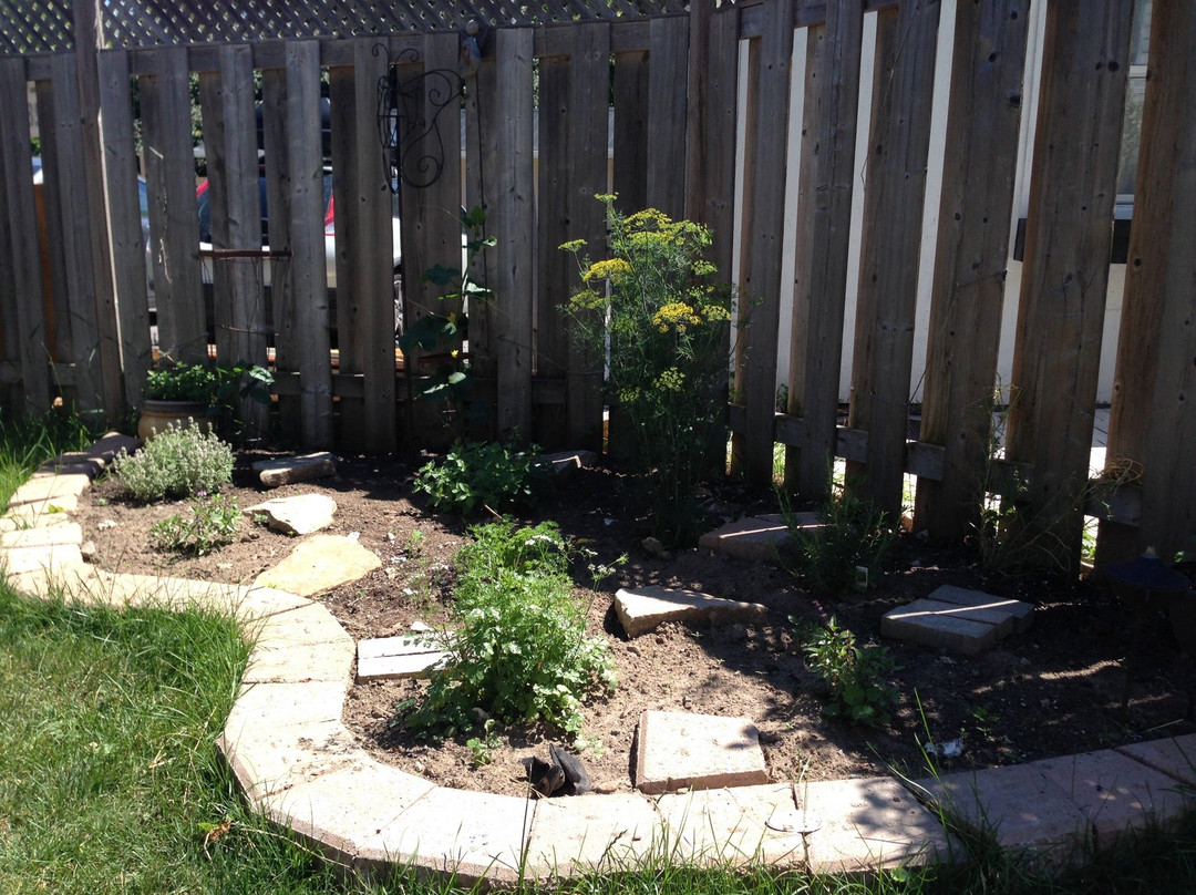 Loyalist Landing主图