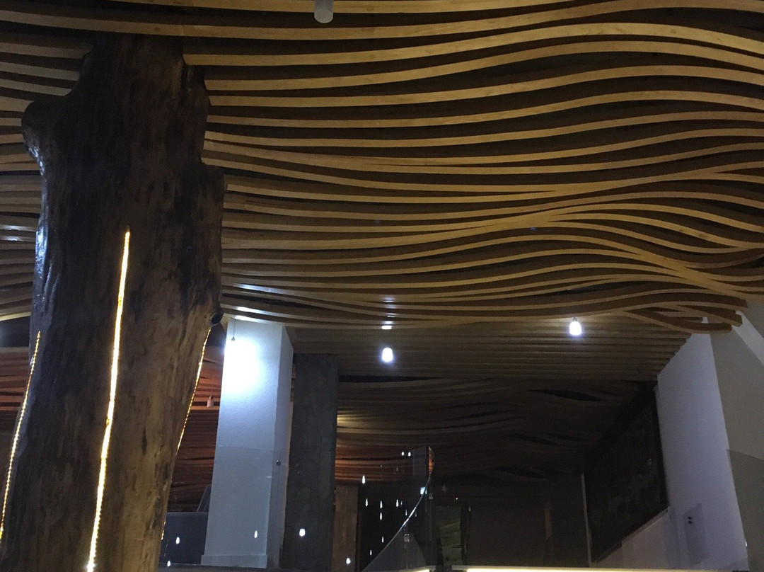 Hotel Borovi Sjenica主图