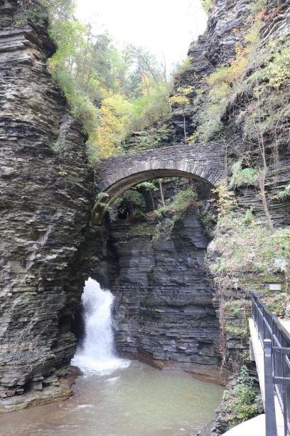 Finger Lakes Mill Creek Cabins-酒店景观