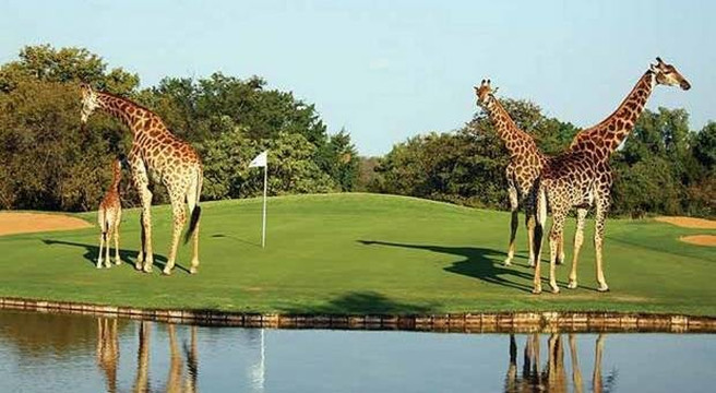 Show Me Africa-开普敦中心区必去景点