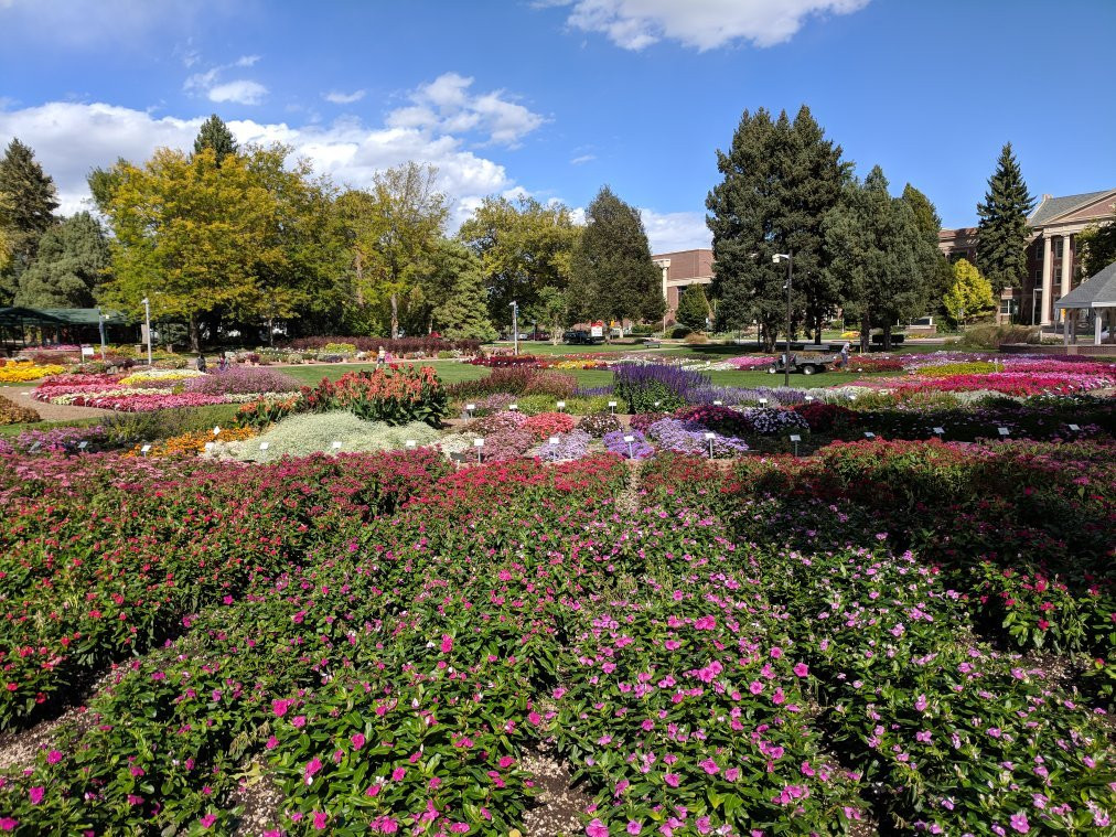 Annual Flower Trial Garden景点图片