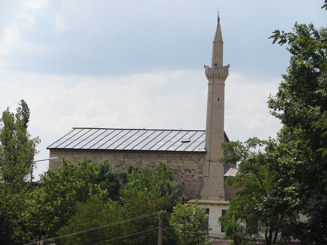 Aga Cami