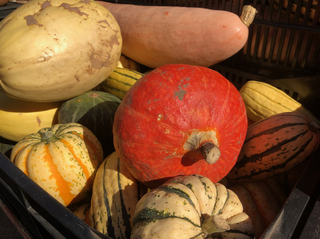 Burnaby Artisan Farmers’ Market-本那比必去景点