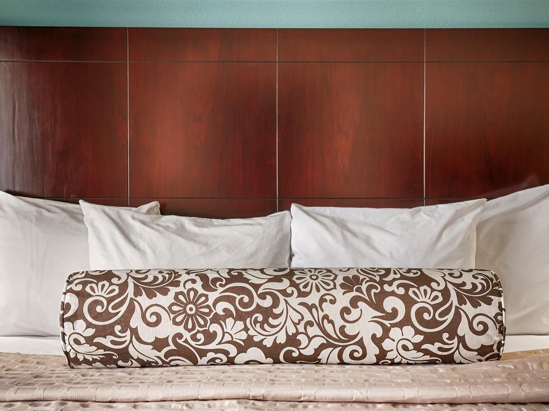 Best Western Plus Katy Inn & Suites主图